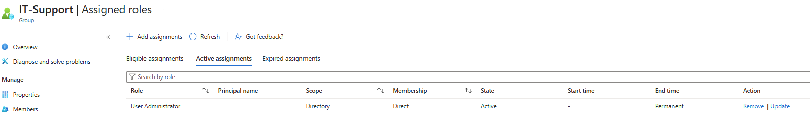 Assigned Roles: IT Support